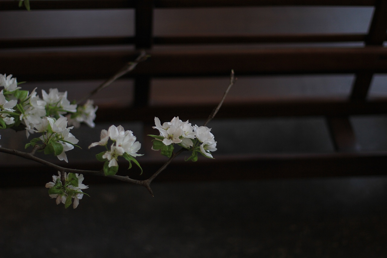 元古——中式美学|摄影|产品摄影|置酒桃叶渡 - 原创作品 - 站酷