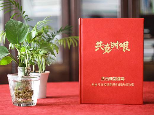 疫情过后给志愿者做纪念册-记载抗疫期工作者美好相册