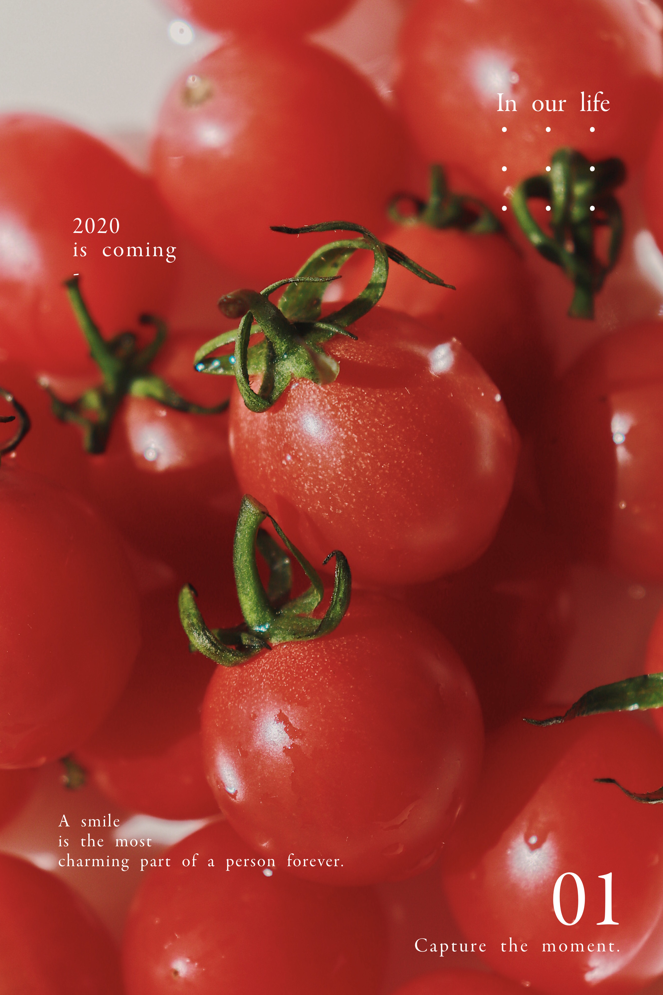 小番茄|摄影|产品摄影|简树视觉 - 原创作品 - 站酷 (ZCOOL)