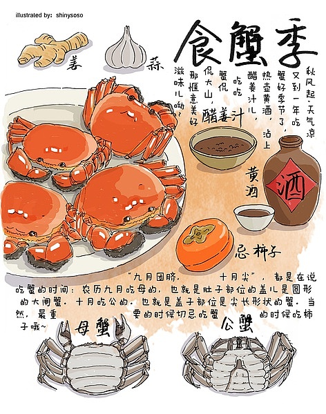 2014soso的无料森活日记（下）（图ZMjM0ODM4MTI=） - 艺术插画 - 站酷设计师shinysoso原创素材 - 站酷ZCOOL