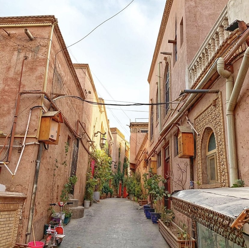 小雪豹游新疆系列明信片（以商用，勿侵权）（图ZMjM3MTQ2OTY4） - 商业插画 - 站酷设计师阿兹玛特原创素材 - 站酷ZCOOL