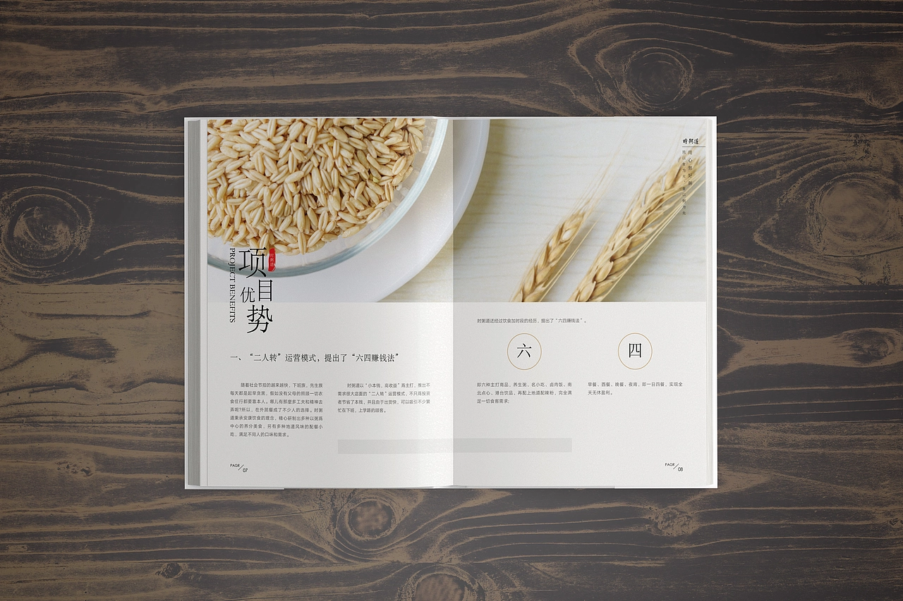 餐饮行业加盟手册企业宣传册