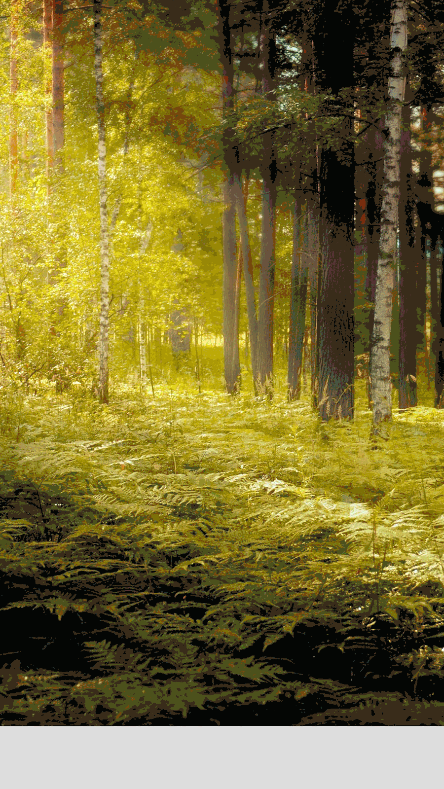 多类目创意合成海报展 by jsboom Studio（图ZODc0MjI1MjA=） - 海报 - 站酷设计师杰克sean原创素材 - 站酷ZCOOL