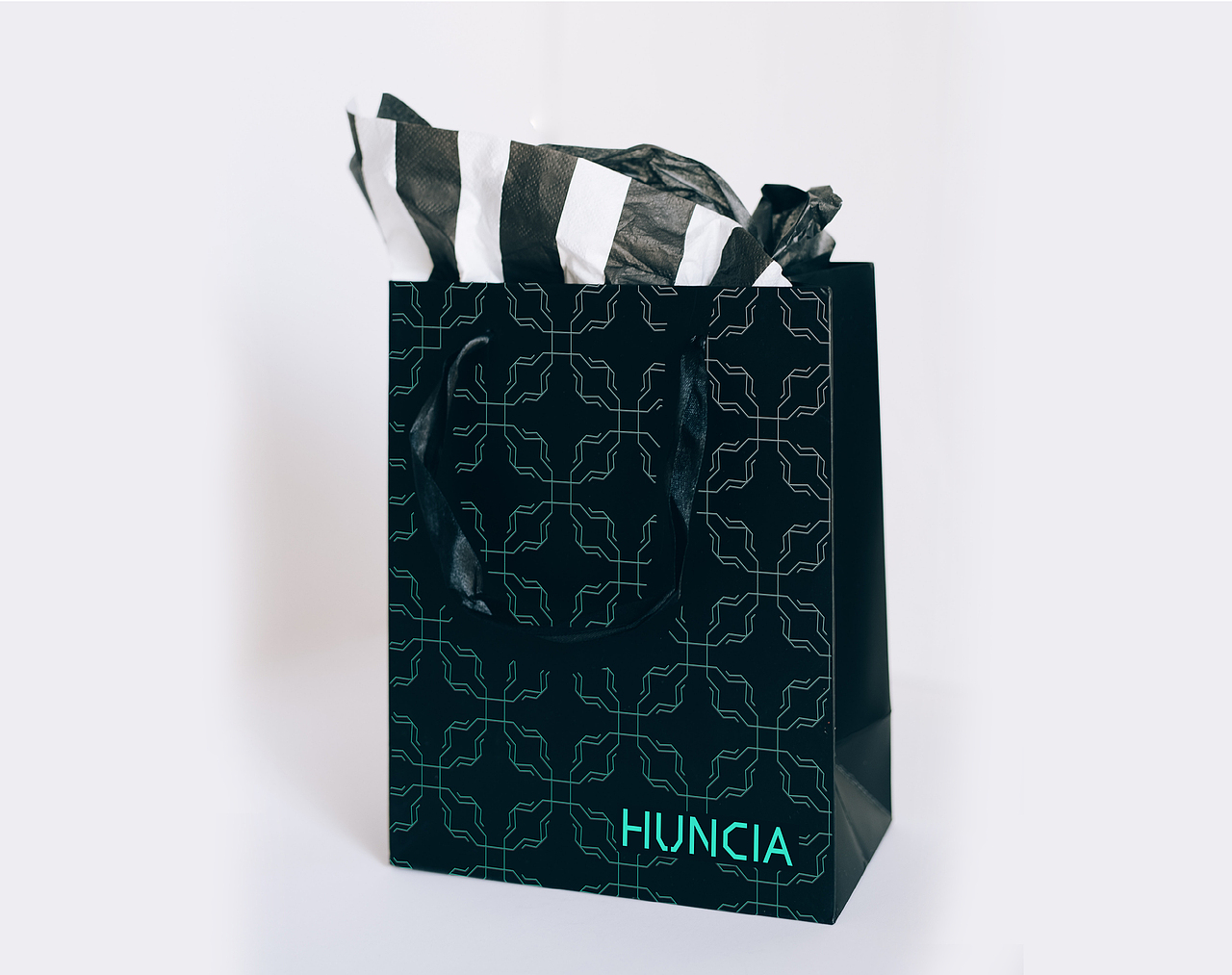 HUNCIA，站在潮流食物链的顶端 | 贺冰凇作品（图ZMjY3MTYwNjI0） - 品牌 - 站酷设计师贺冰凇原创素材 - 站酷ZCOOL