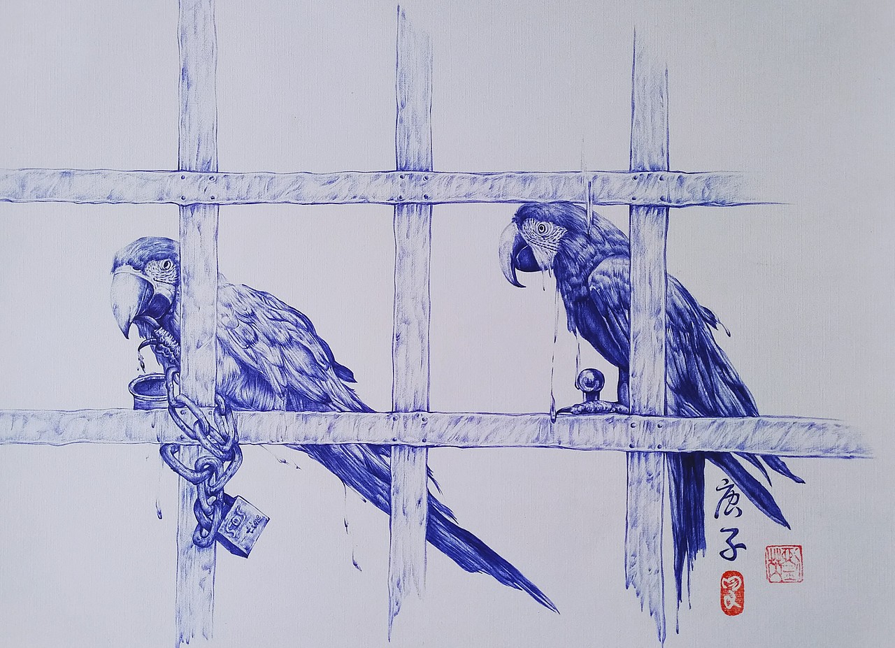 金刚鹦鹉（图ZMTk3NTkwNzI0） - 艺术插画 - 站酷设计师刘大芮原创素材 - 站酷ZCOOL