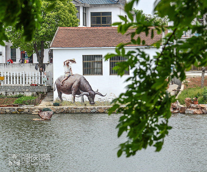 ▲ 瞧那一大一小生动的样子,下一步,怕是要下水了吧~