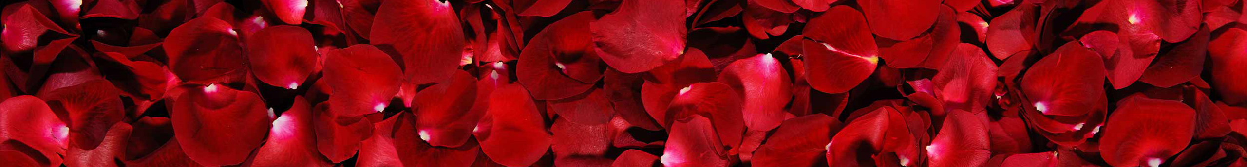 易楊千元的個(gè)人主頁（封面預(yù)覽） - 主頁封面設(shè)置 - 站酷設(shè)計(jì)師易楊千元原創(chuàng)素材 - 站酷ZCOOL