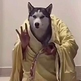 陈星揽月的头像
