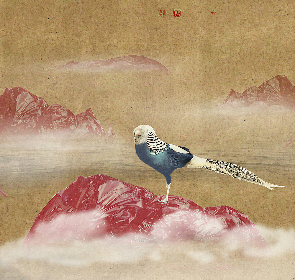 传说万历二十年,颙鸟集豫章城宁寺,高二尺许,燕雀群噪之,是年五月之七