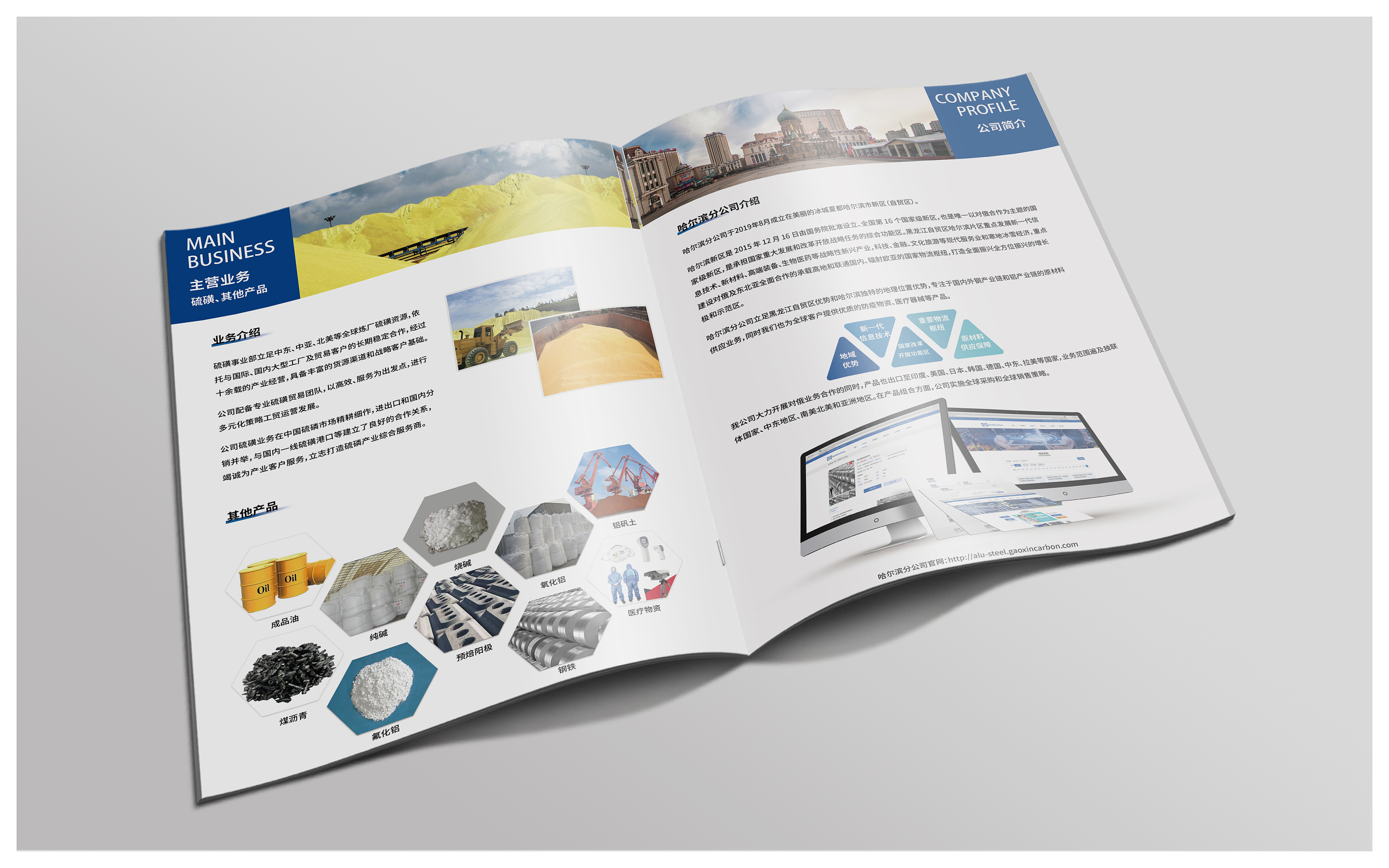 大庆高新国际工贸宣传画册