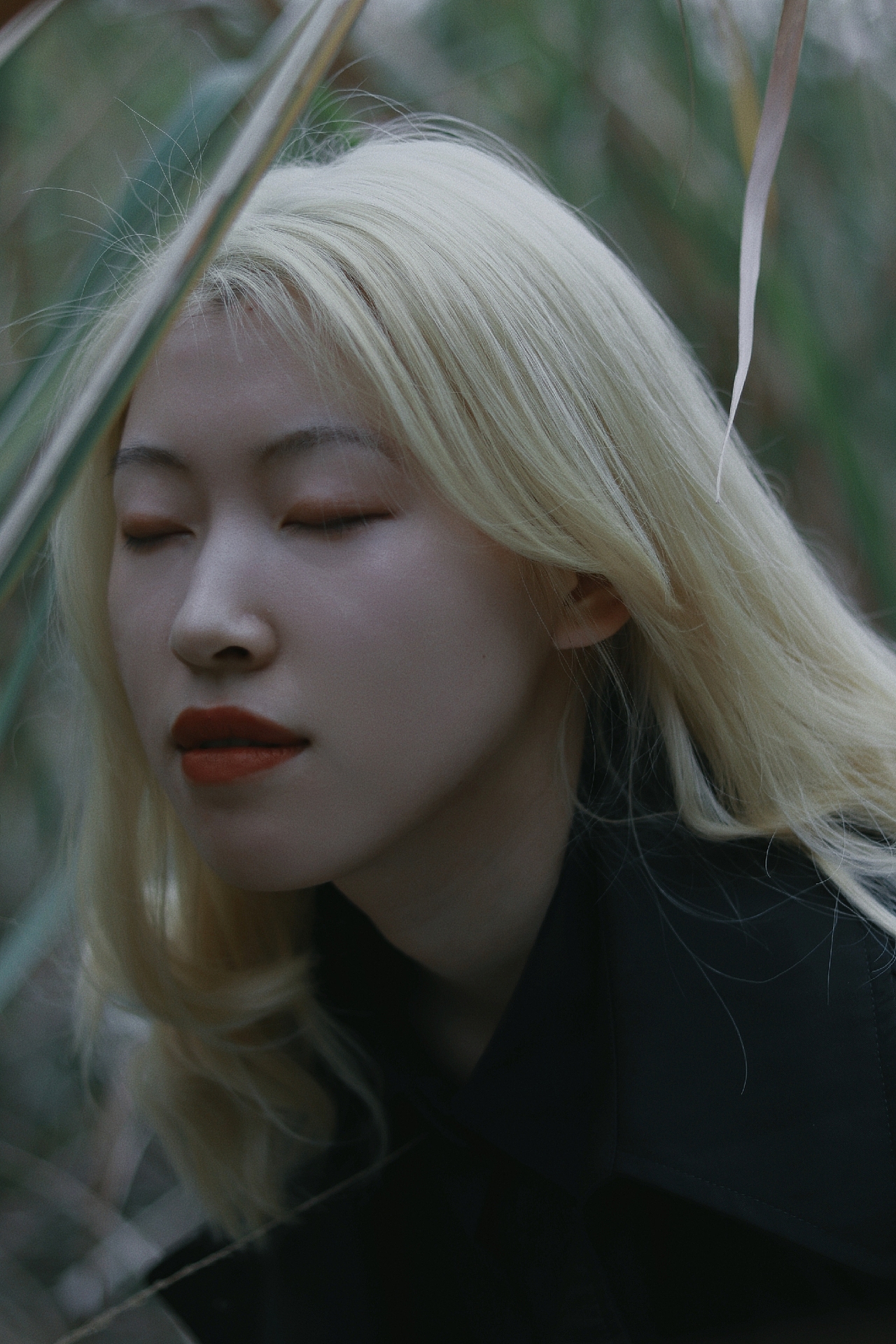 因为你 是我唯一的嗜好