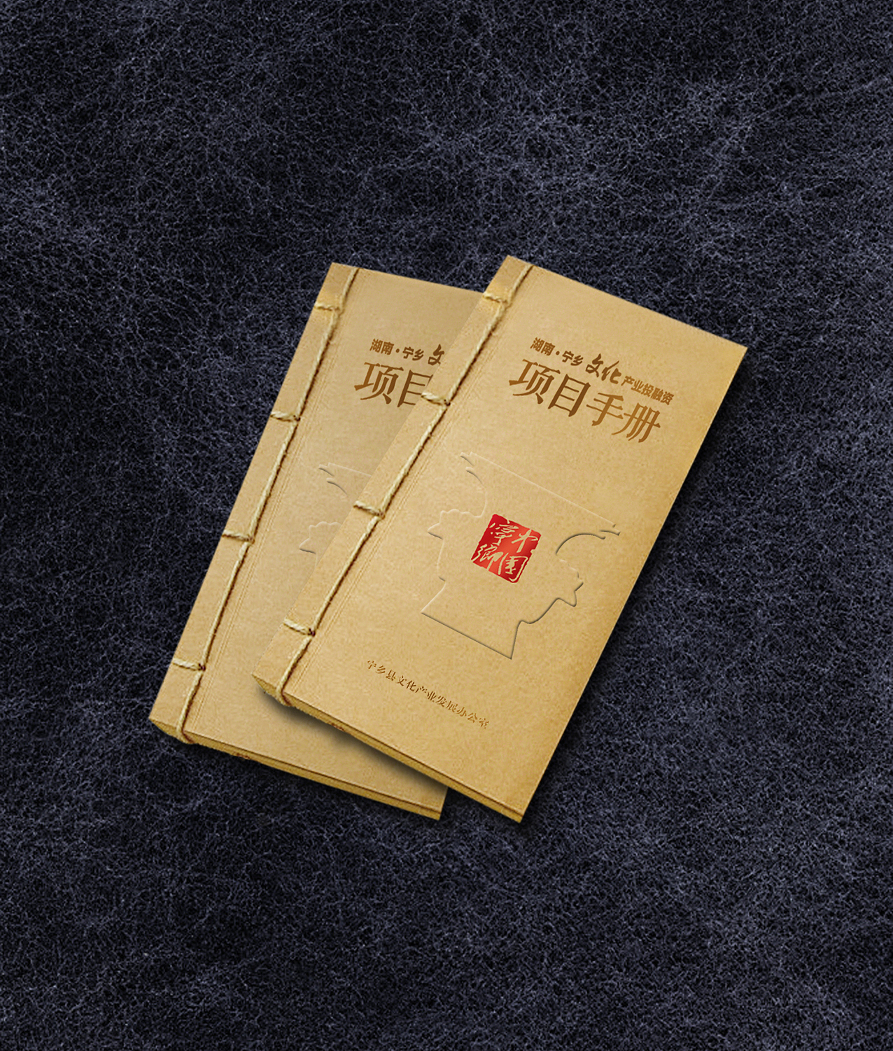 宁乡投融资手册（图ZNDA0NzI3NzY=） - 书籍/画册 - 站酷设计师fxy216ccc原创素材 - 站酷ZCOOL