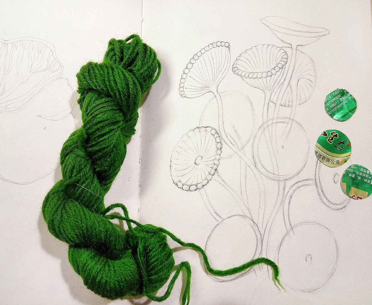 描绘了多种蘑菇,这是其中一种