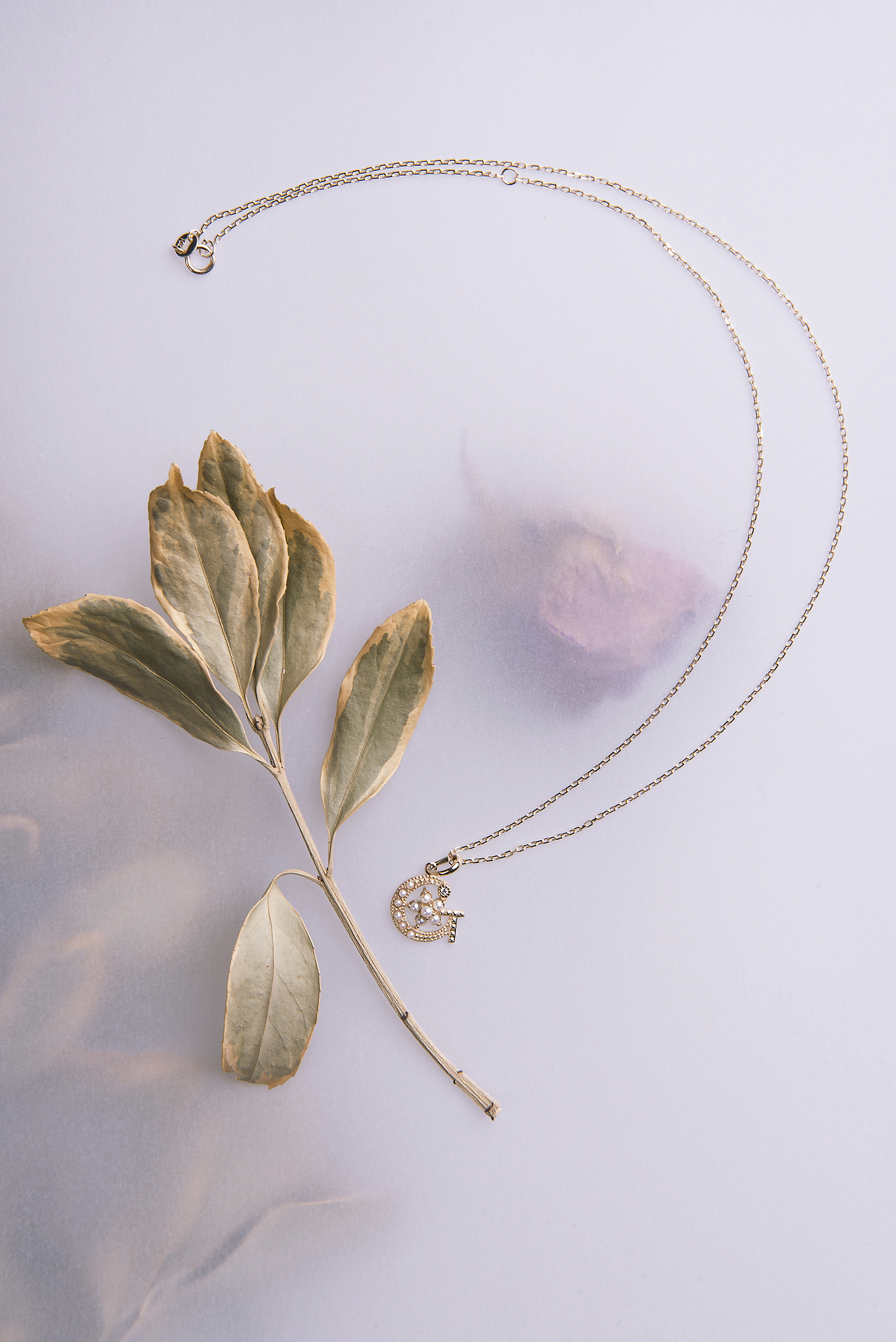 带珍珠的字母项链（图ZMTYxNzY5NDI4） - 产品摄影 - 站酷设计师Dim750原创素材 - 站酷ZCOOL