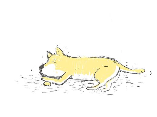 猫狗（个人主页-ZMzM0NjQ4NzI=） - 艺术插画 - 站酷设计师汤三牛原创素材 - 站酷ZCOOL