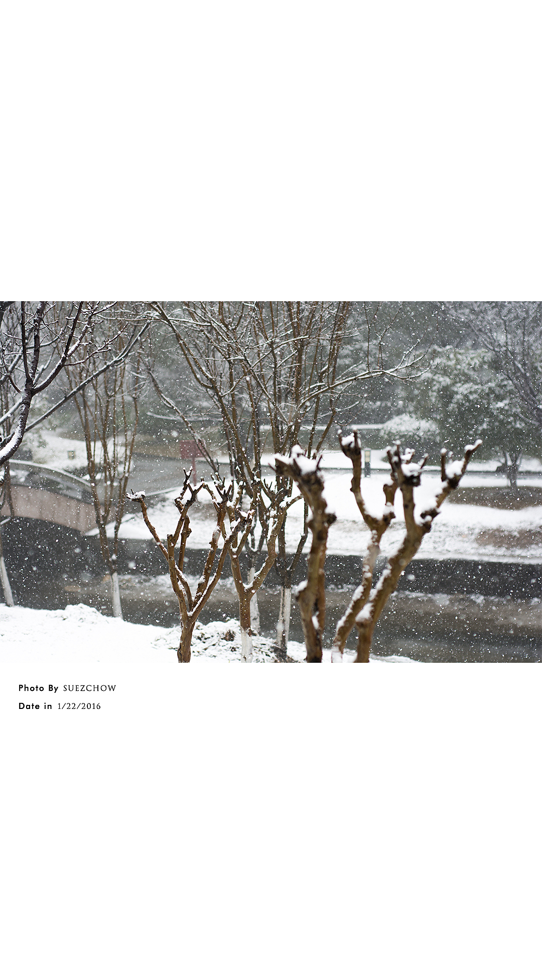 这样的小雪太安静。