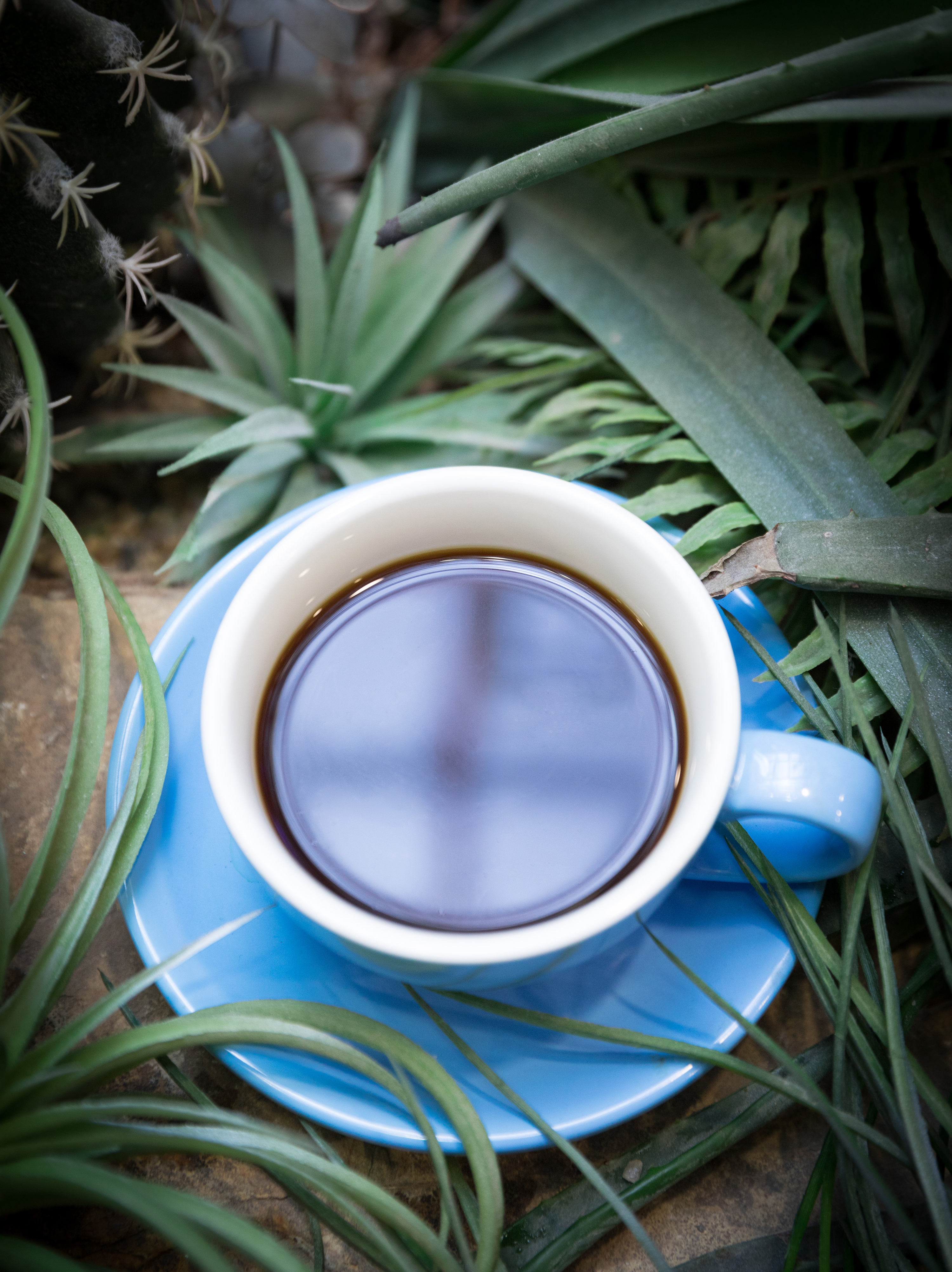 蓝色杯子的咖啡