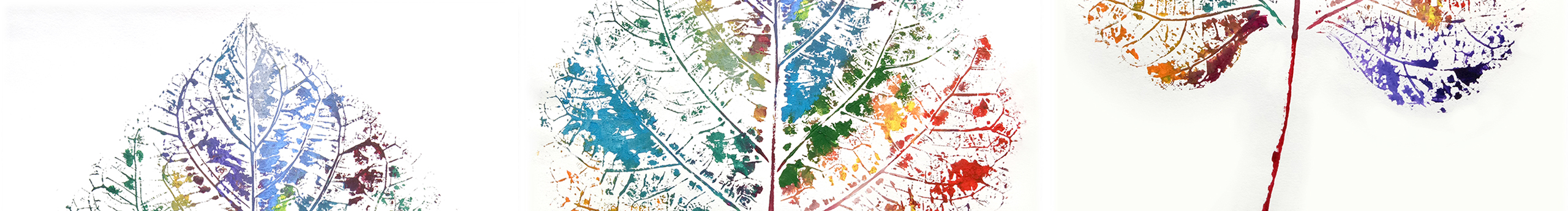 1220KELIWO的個人主頁（封面預(yù)覽） - 主頁封面設(shè)置 - 站酷設(shè)計師1220KELIWO原創(chuàng)素材 - 站酷ZCOOL