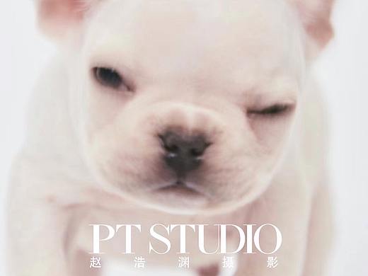 隆重介绍PT STUDIO家族的新成员—-小菠萝:pineapple: