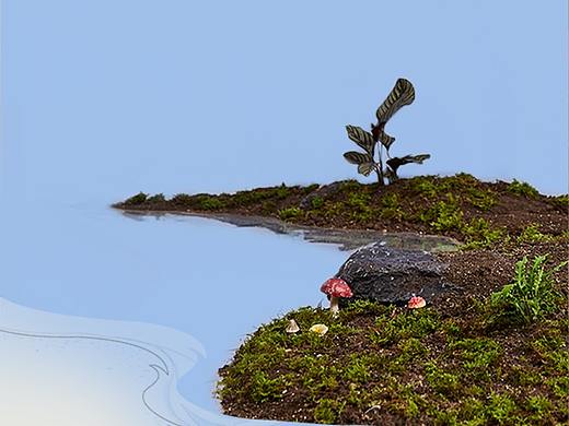 桃花湖