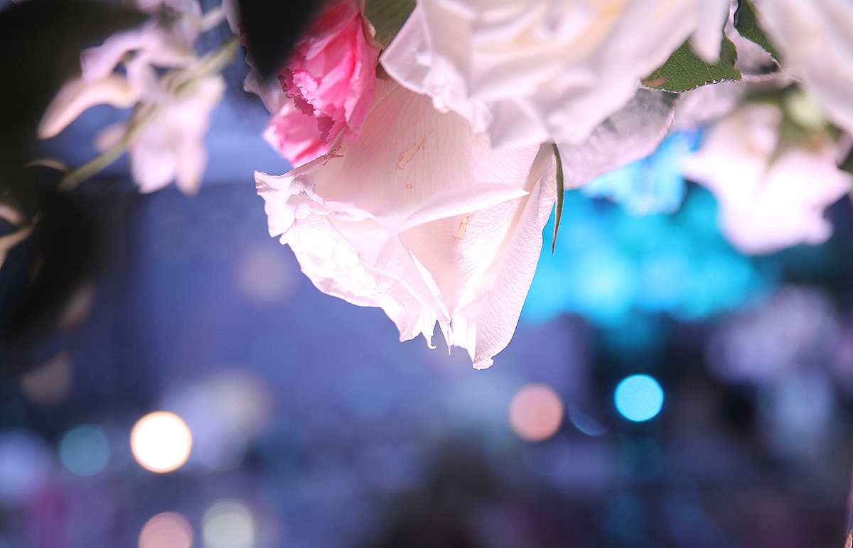 2016-7-2婚礼摄影（图ZNTM2NDkzNDA=） - 人文/纪实摄影 - 站酷设计师1987jms原创素材 - 站酷ZCOOL