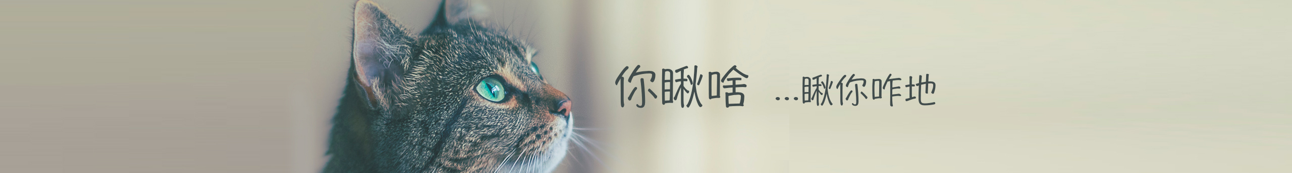 说了不要关注的个人主页（背景预览） - 主页背景设置 - 站酷设计师说了不要关注原创素材 - 站酷ZCOOL