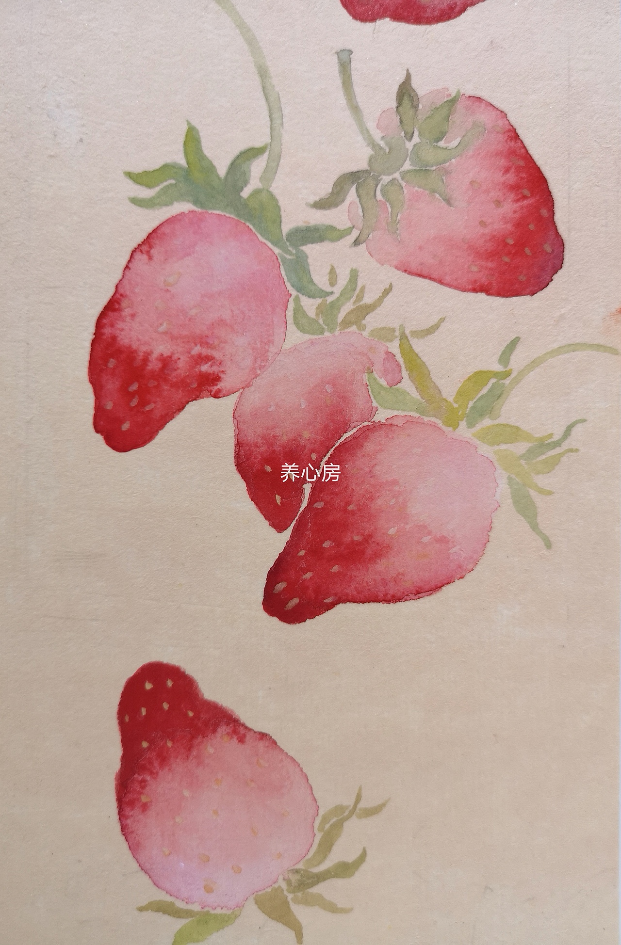 莓有烦恼（图ZMjY3MzgwNjcy） - 绘画 - 站酷设计师养心房主原创素材 - 站酷ZCOOL