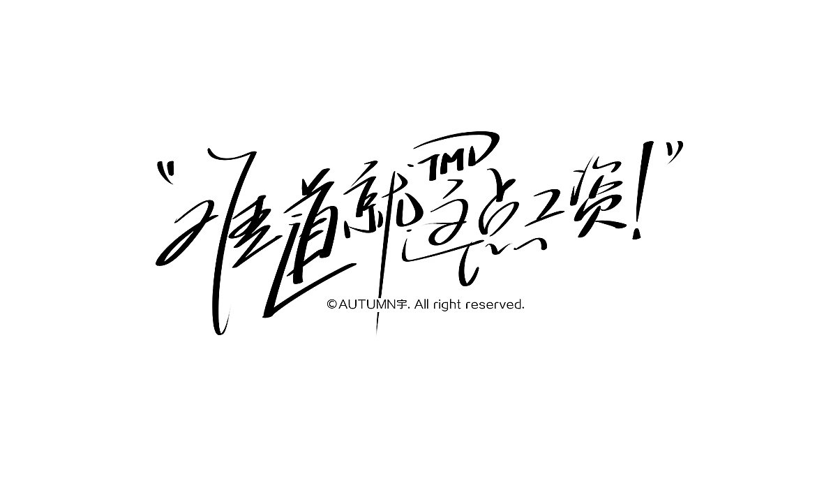 2015手写字体作品合集