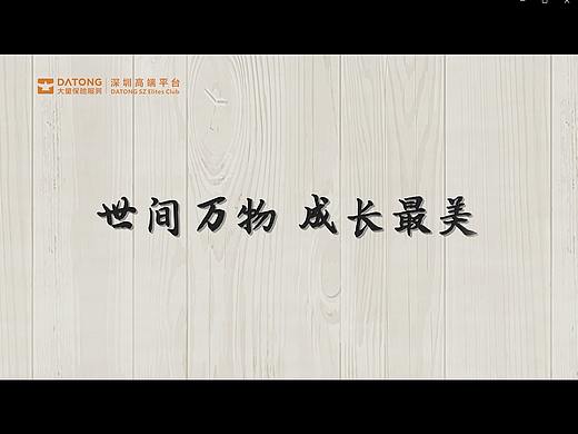 个人宣传片/企业/广告