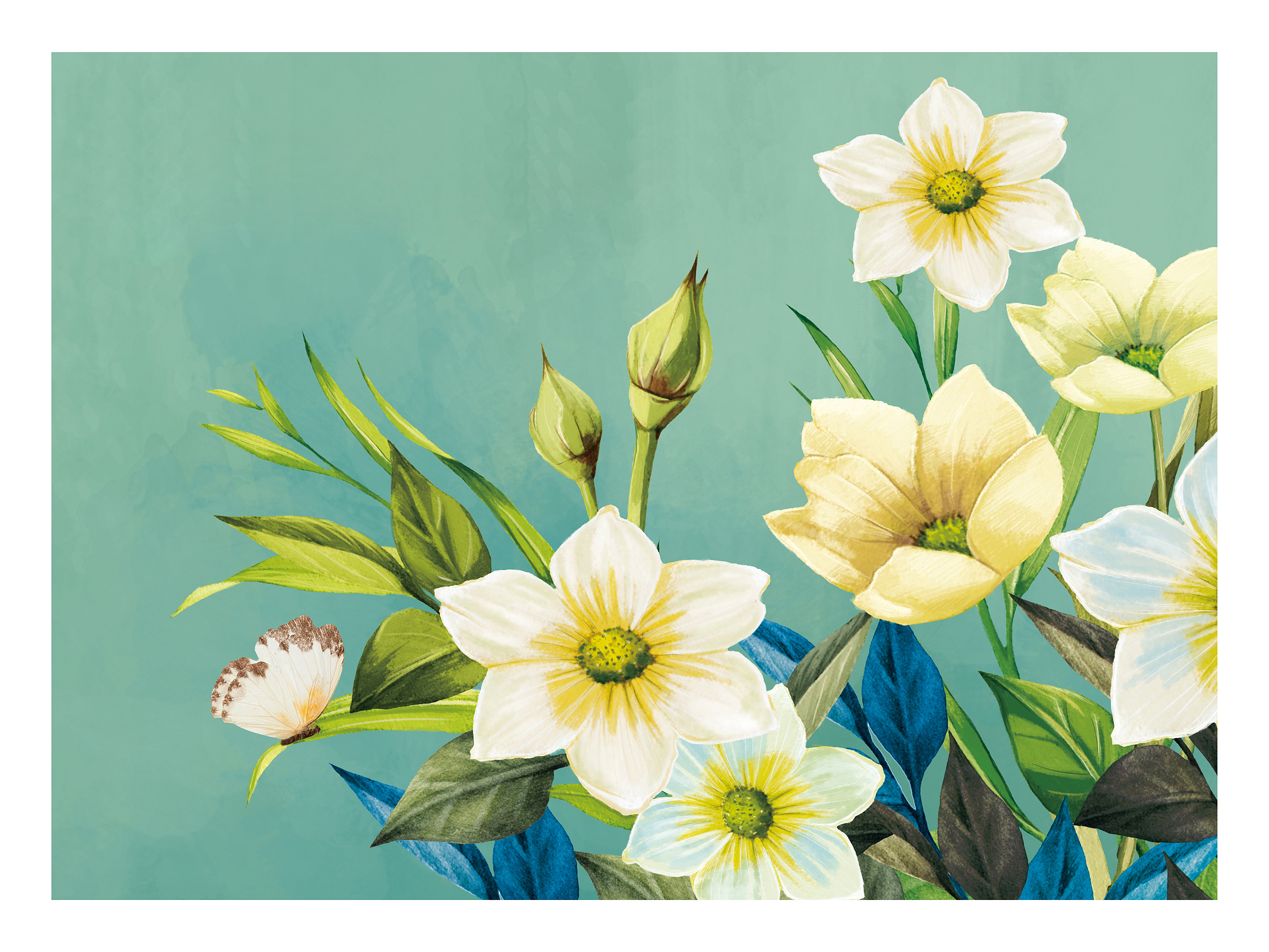 手绘清新花卉|插画|商业插画|mandy果 - 原创作品 - 站酷 (zcool)