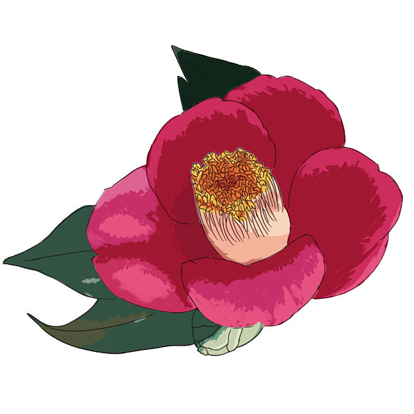 花（图ZMjAyNjk4MDEy） - 创作习作 - 站酷设计师梦是美的原创素材 - 站酷ZCOOL