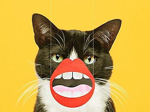 萌懂APP（個人主頁-ZMzA5ODUxNjA=） - 網(wǎng)絡(luò)表情 - 站酷設(shè)計師胡老板家的白豆腐原創(chuàng)素材 - 站酷ZCOOL