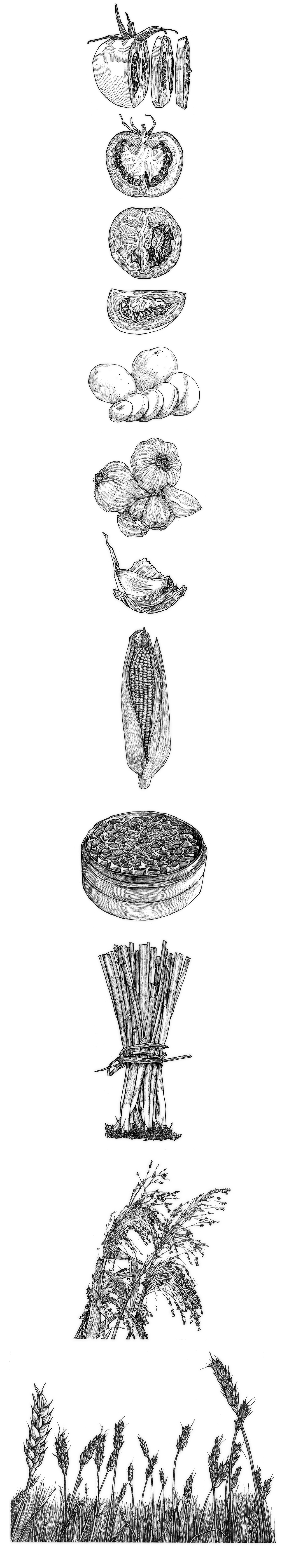 Die碗面（图ZMTM3Njg0Mjg0） - 包装 - 站酷设计师weiziart原创素材 - 站酷ZCOOL