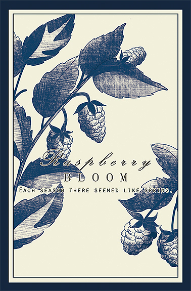 单色复古高级感插画 30张 植物花卉明信片