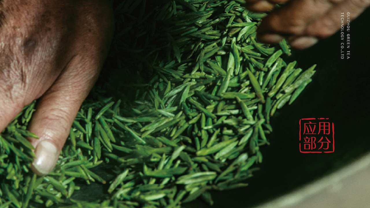 「VI」贵州绿茶科技VI设计（图ZNjgxMDYzMDg=） - 品牌 - 站酷设计师伊生原创素材 - 站酷ZCOOL