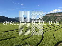 房地产提案