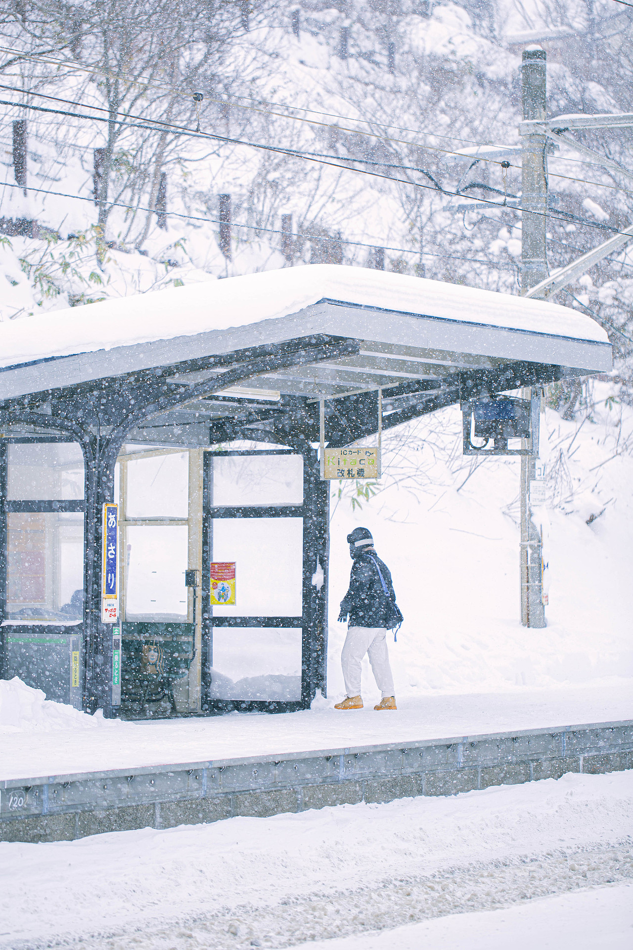 冬日来信-小樽日记