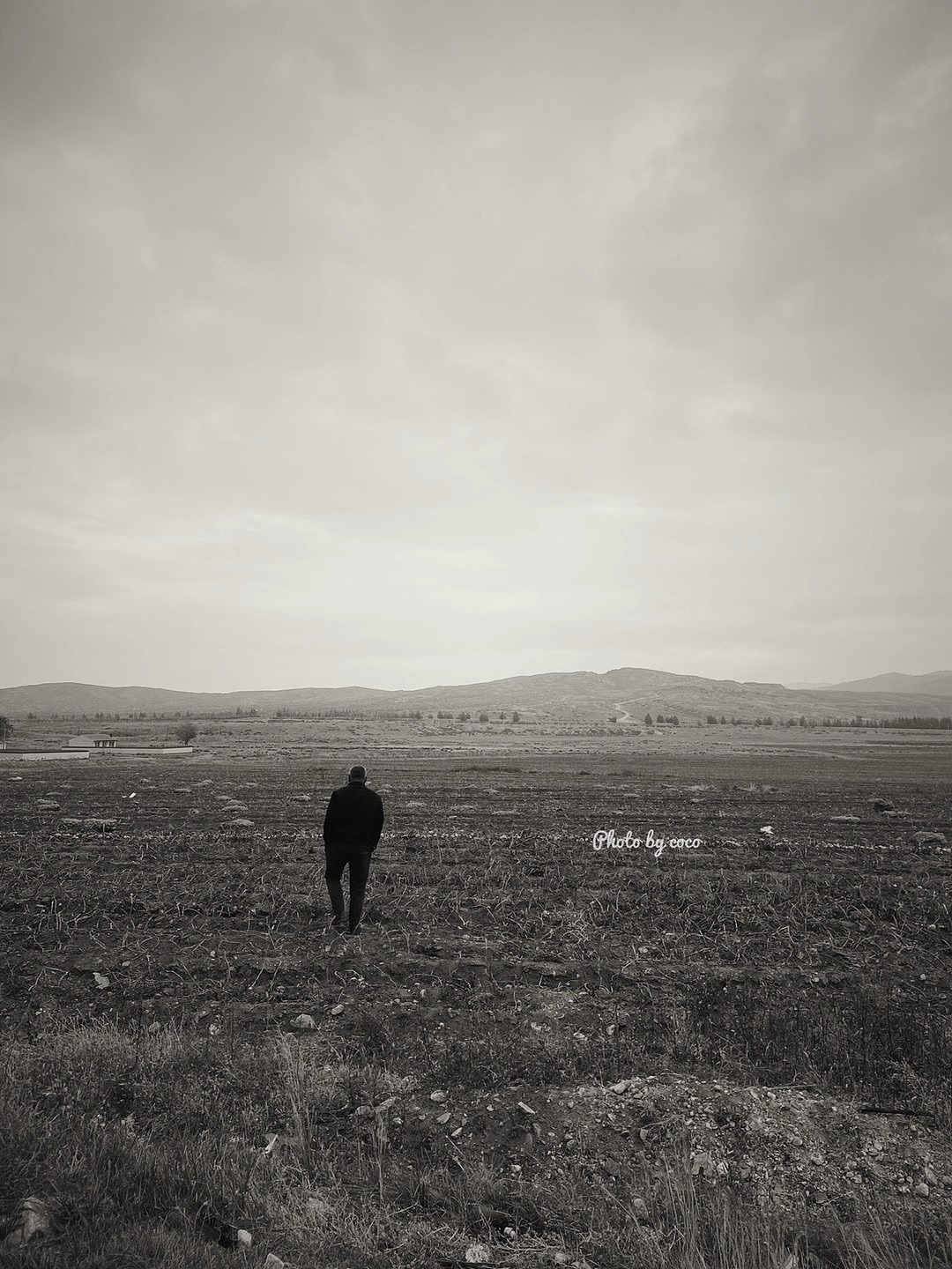 近期手机摄影合集（图ZMjI2NjU3NzYw） - 人文/纪实摄影 - 站酷设计师青木设计yyds原创素材 - 站酷ZCOOL