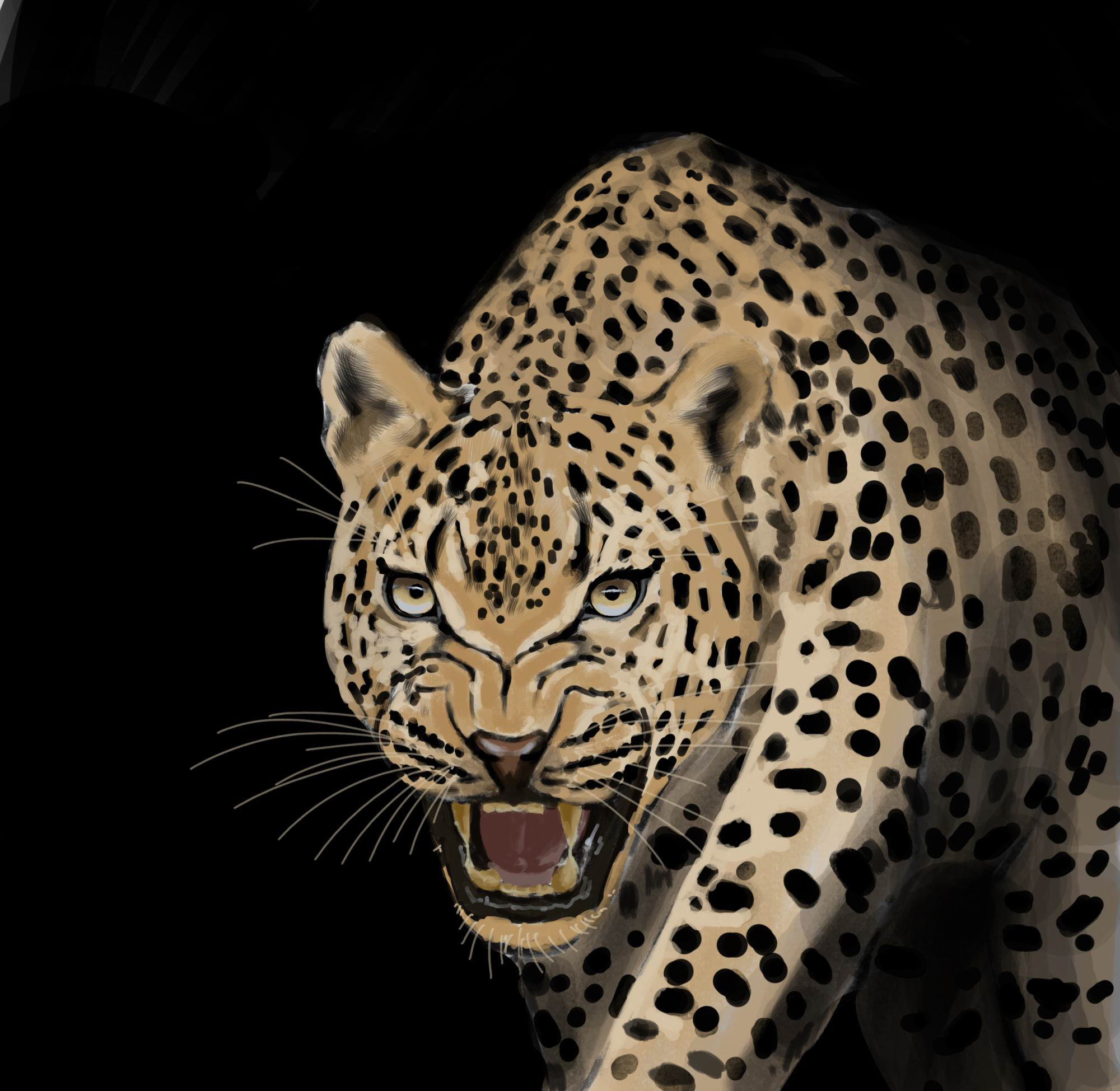 豹|插画|插画习作|vincent徐龙舟 - 原创作品 - 站酷 (zcool)