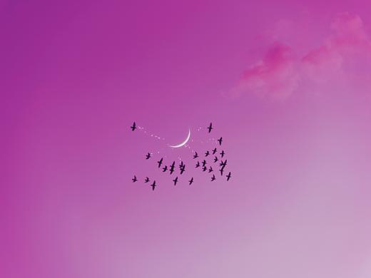 星月图