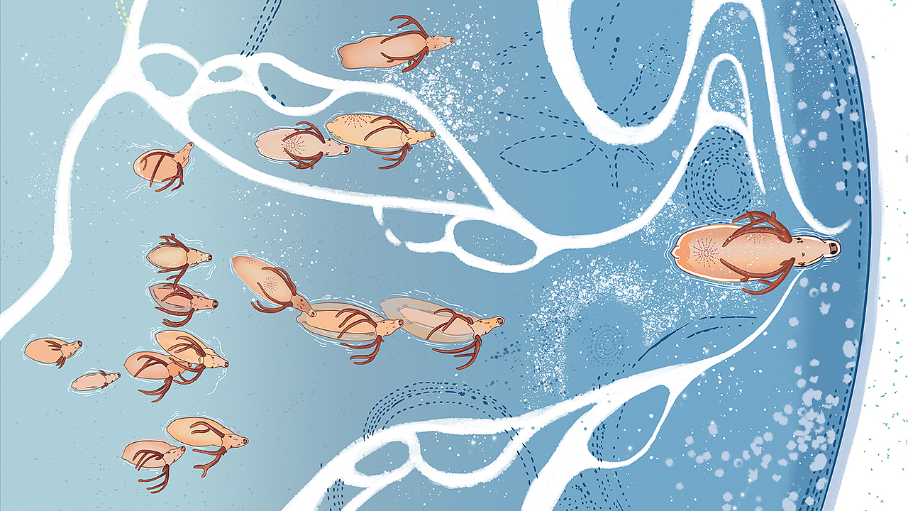 《东灵山的一天》数字绘本创作（图ZMjIyNDYwNTQw） - 绘本 - 站酷设计师卓小昕sweetheart原创素材 - 站酷ZCOOL