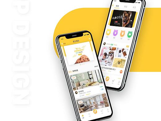 宠物寄养APP