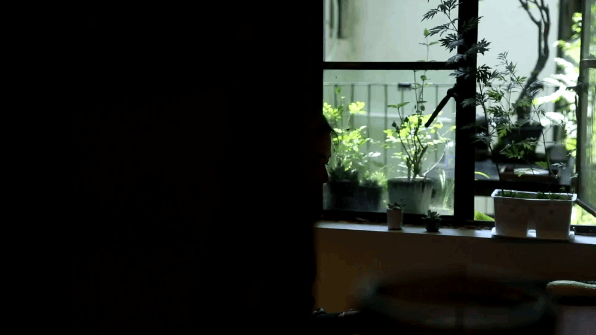 【仲夏花园】自然造物