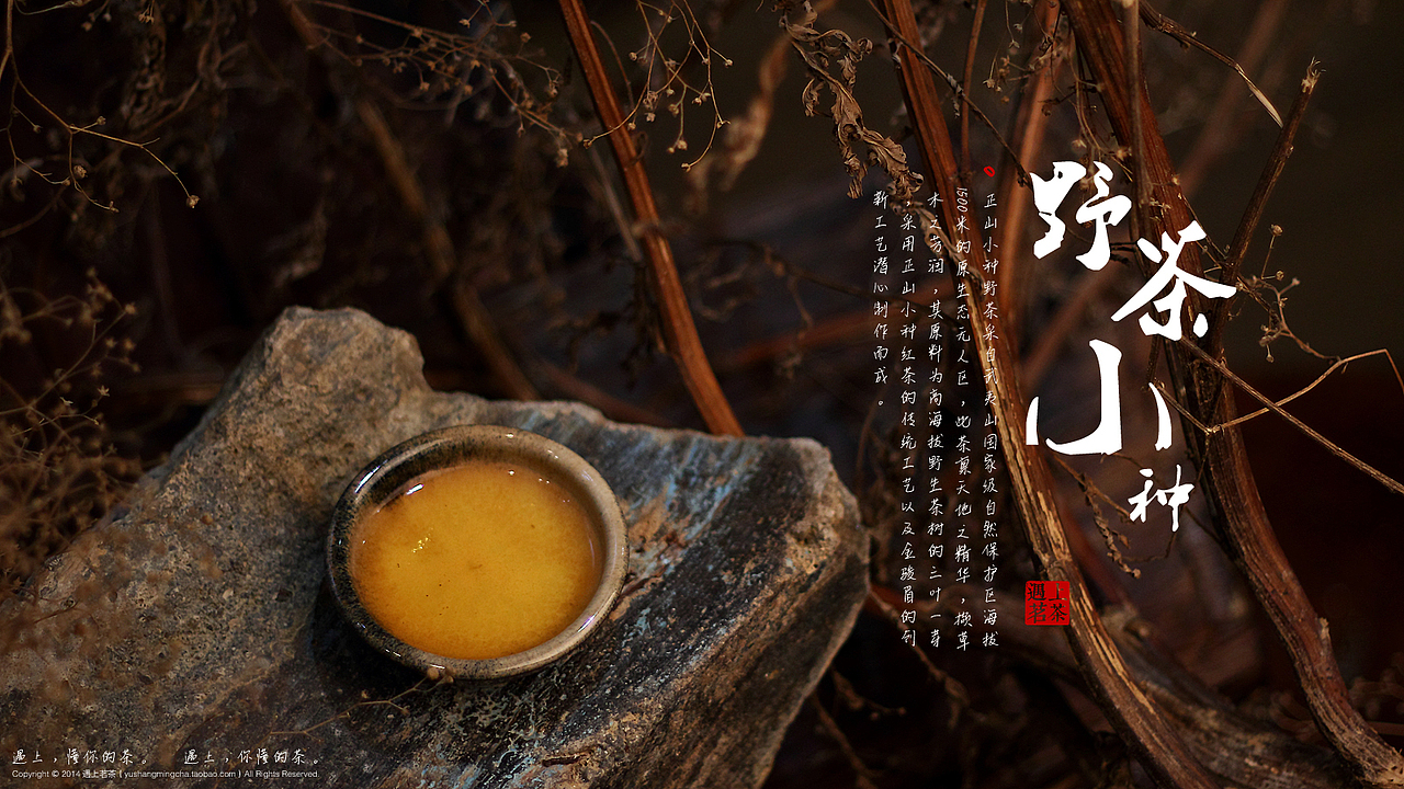 给厦门“遇上茗茶”店拍摄的“野茶小种”