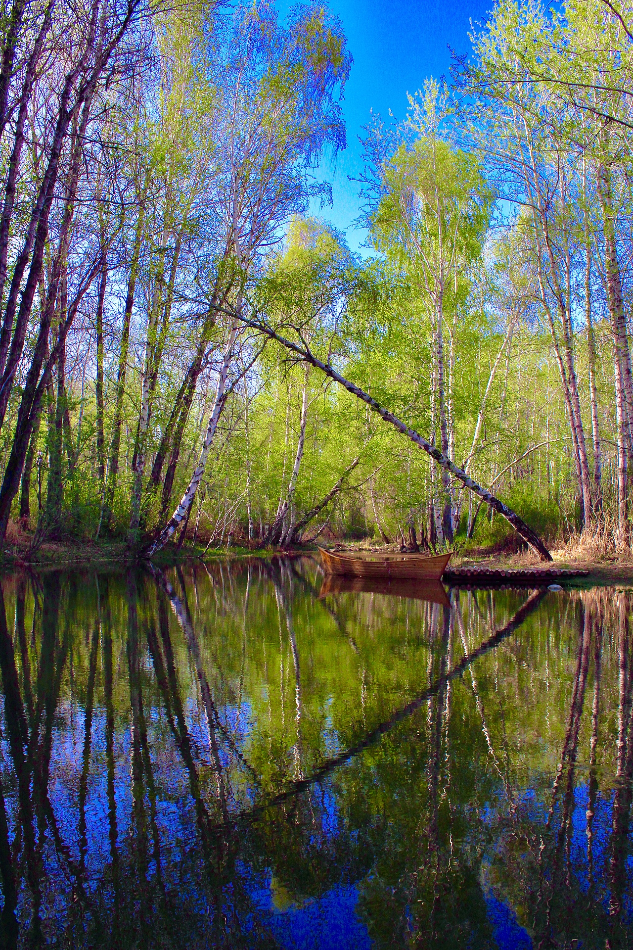 #阿勒泰地区美景