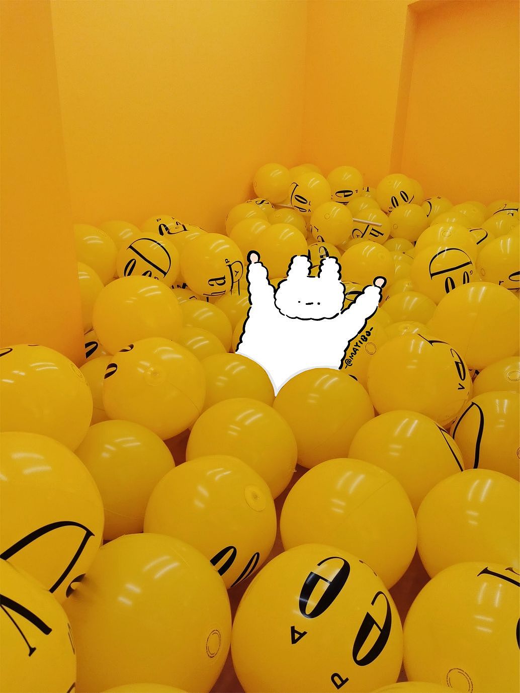 棉棉兔的写真馆