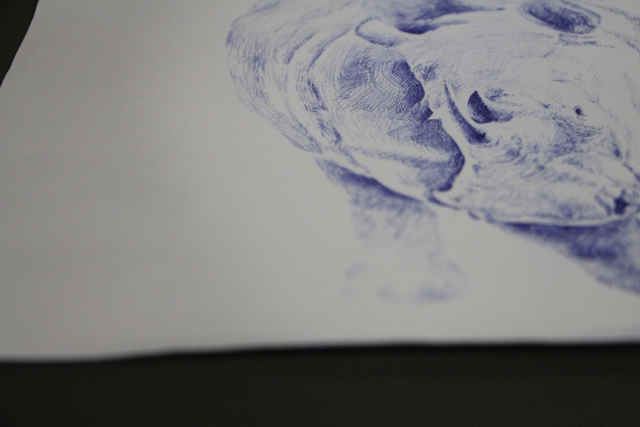 早期临摹的一幅犀牛