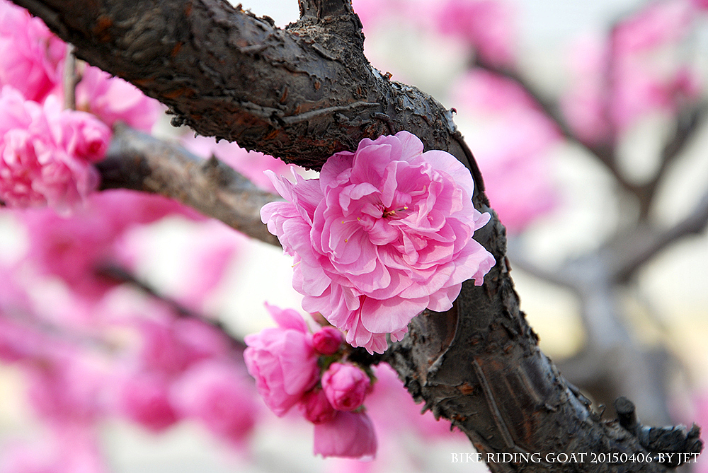 动人的风景永远在路上,别赶路,去感受路2-1
