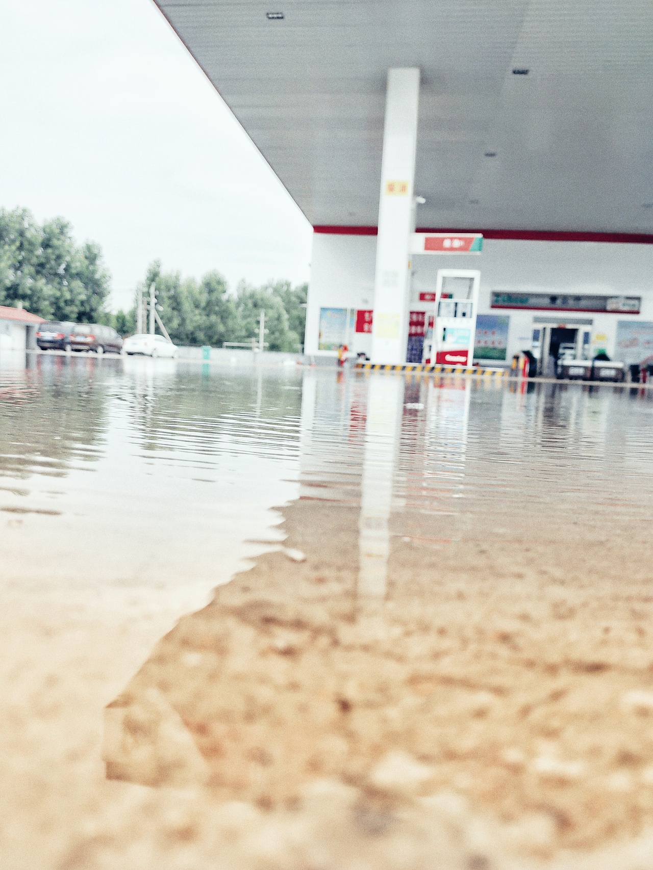 雨淋不湿的季节