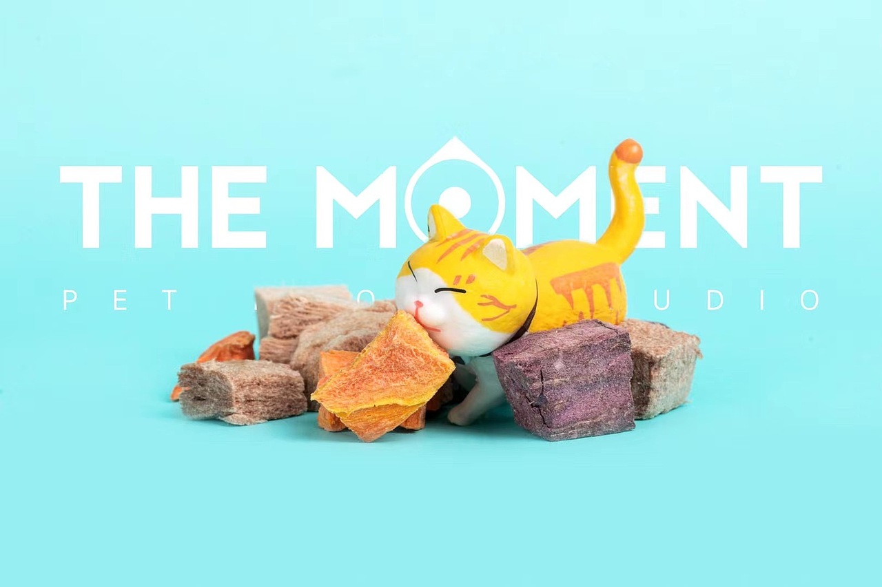 小猫咪能有什么坏心思